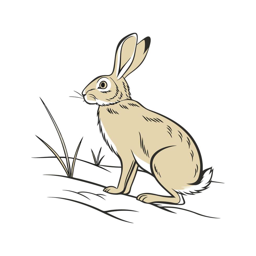Distinctive Tan Rabbit Realistic Color Illustration vector