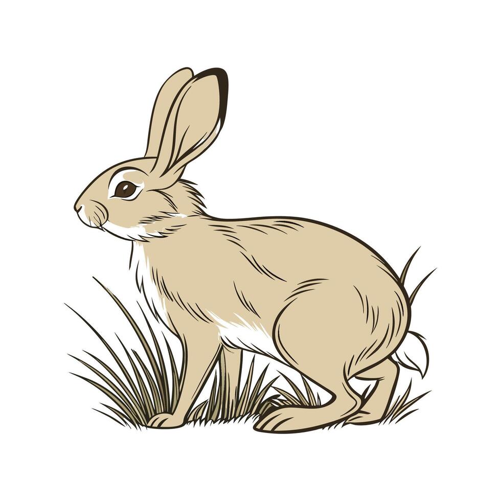 Unique Tan Rabbit Realistic Illustration Art vector