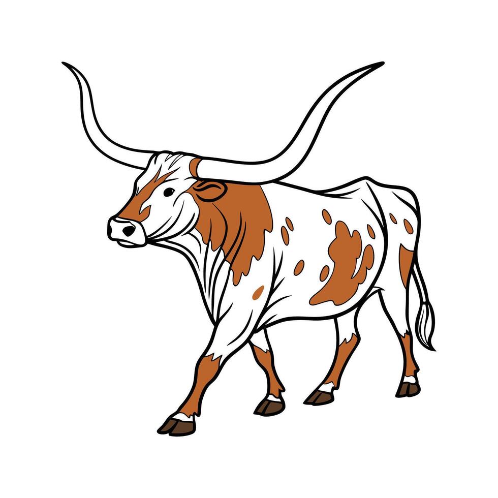 Realistic Texas Longhorn Colorful Illustration vector