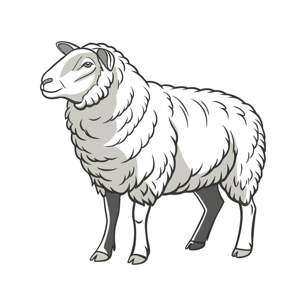 Elegant Texel Sheep Realistic Color Design vector