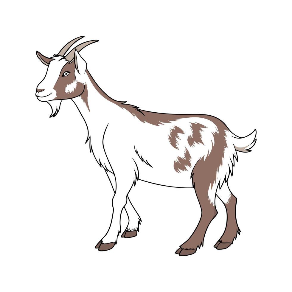 Lovely Toggenburg Goat Colorful Illustration vector