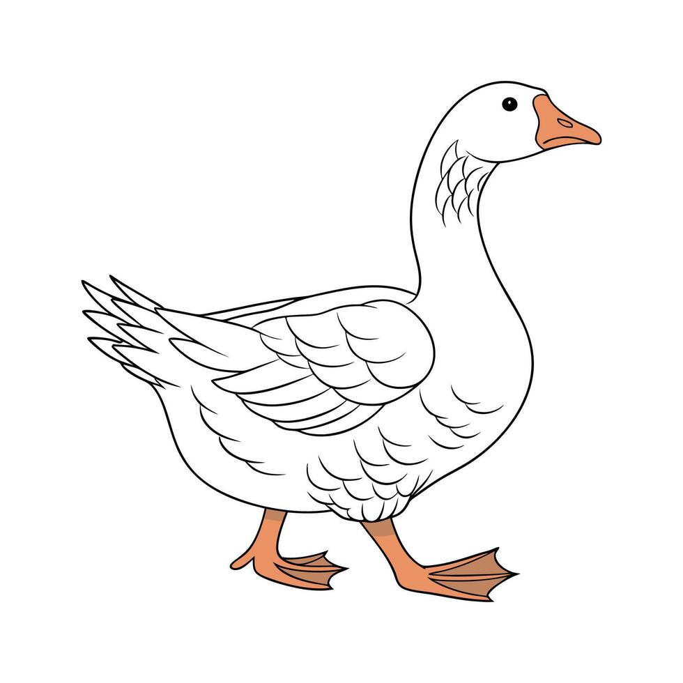 Charming Toulouse Goose Realistic Color Illustration. vector
