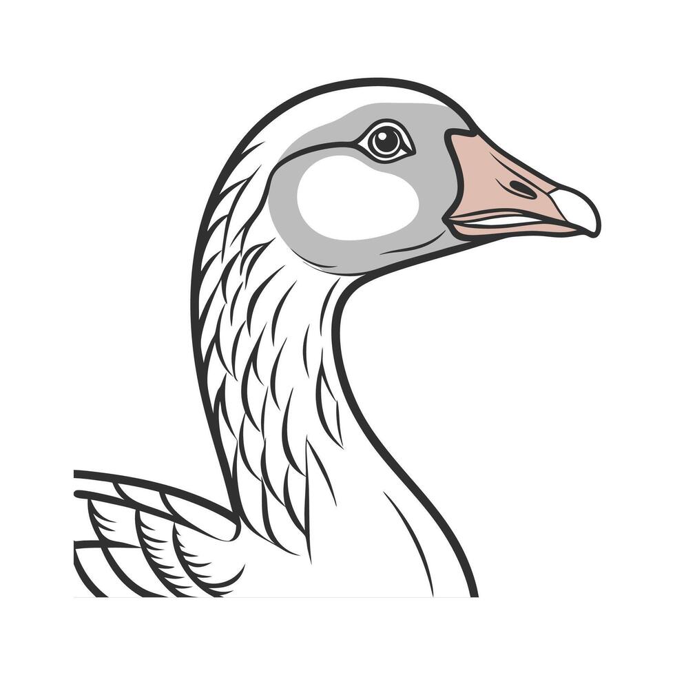 Vibrant Toulouse Goose Realistic Illustration Art vector