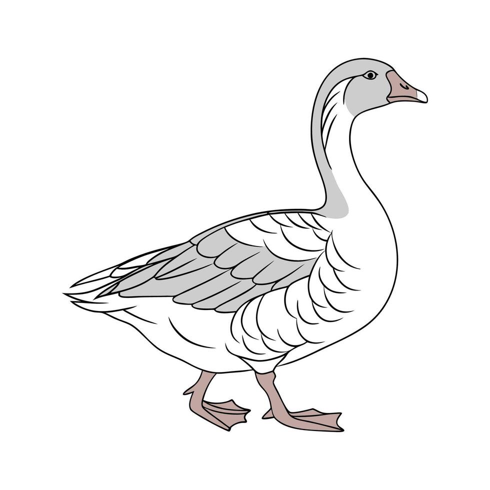 Unique Toulouse Goose Realistic Color Art vector