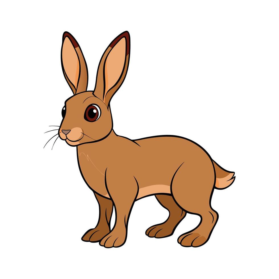 Elegant Realistic Color Illustration of Belgian Hare. Cartoon Art Animal Illustration. vector