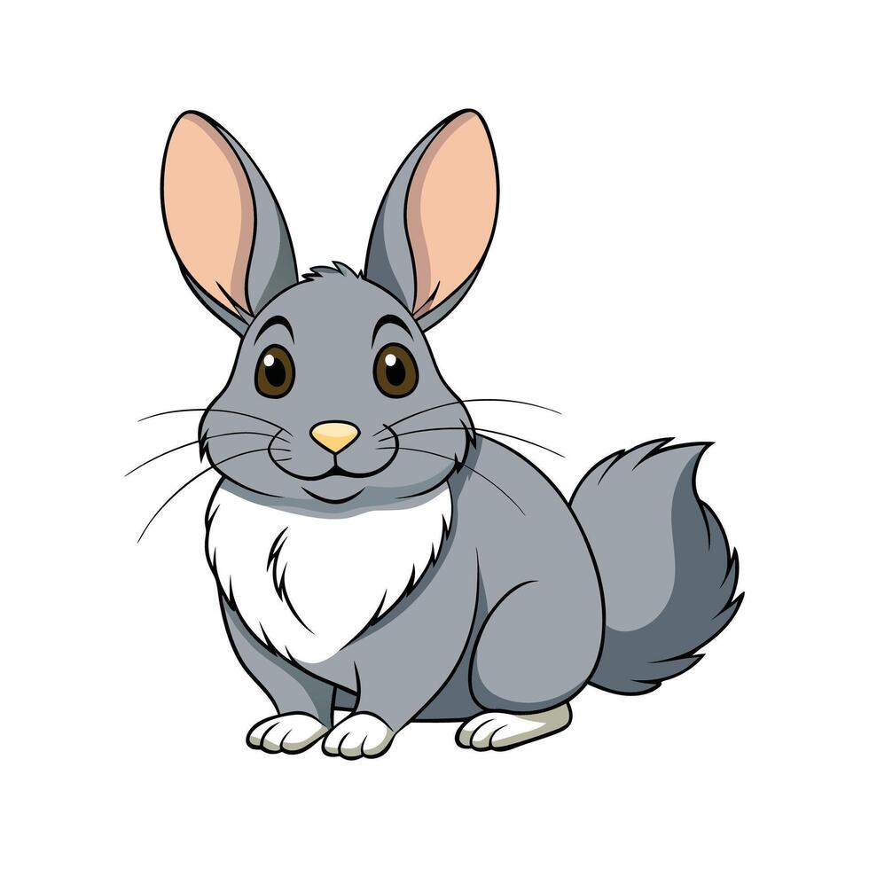 Elegant Realistic Color Illustration of Chinchilla Rabbit. Cartoon Art Animal Illustration. vector