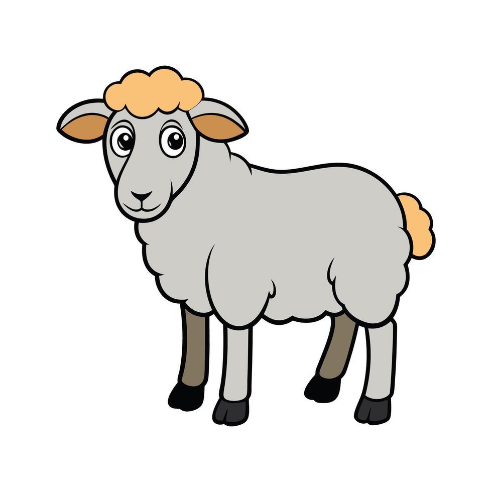Elegant Realistic Outline of Dorper Sheep. Cartoon Art Animal Illustration. vector