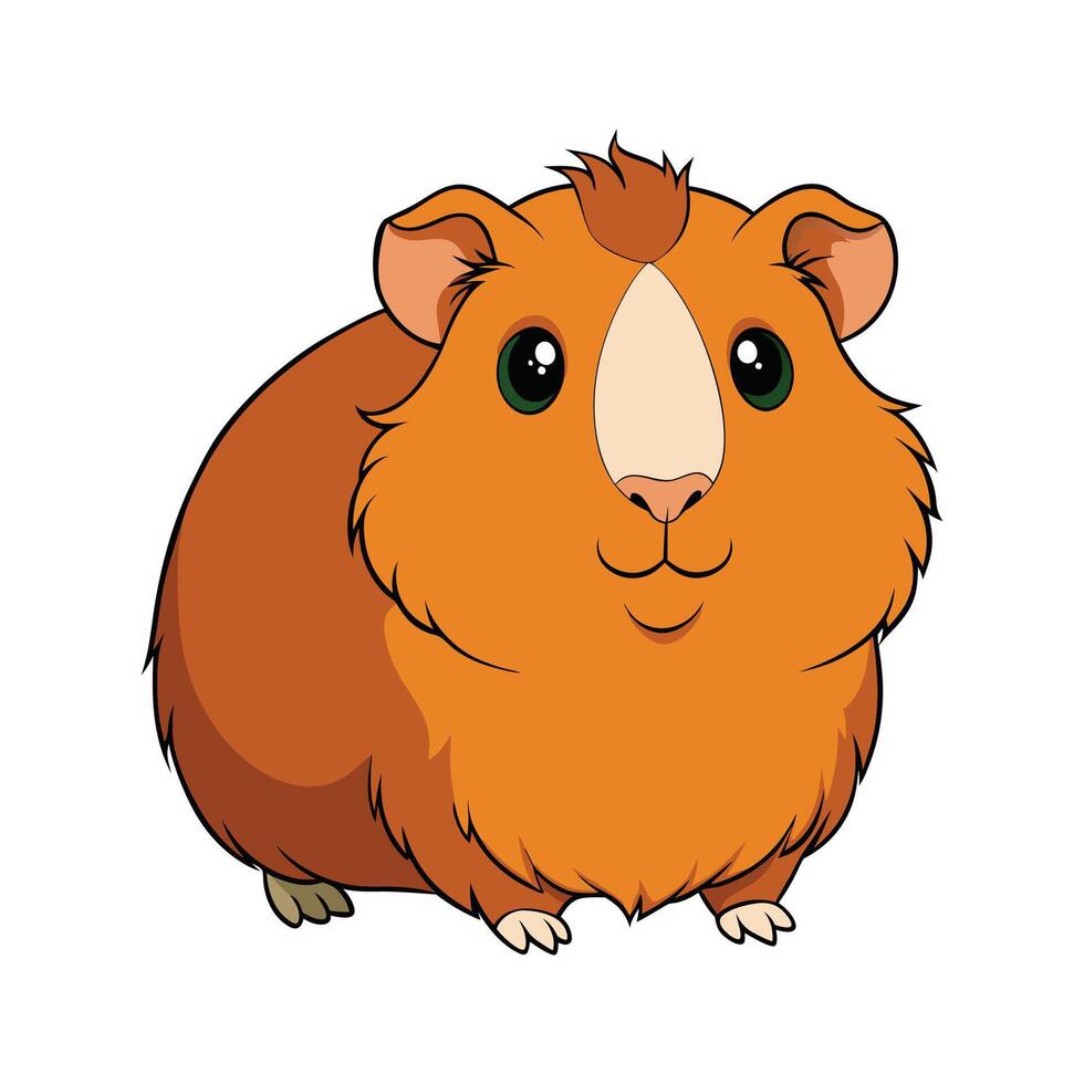Elegant Realistic Color Illustration of Guinea Pig. Cartoon Art Animal Illustration. vector