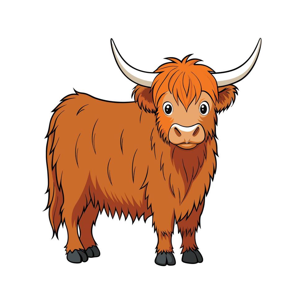 Artistic Highland Cow Color Illustration on White. Cartoon Art Animal Illustration. vector