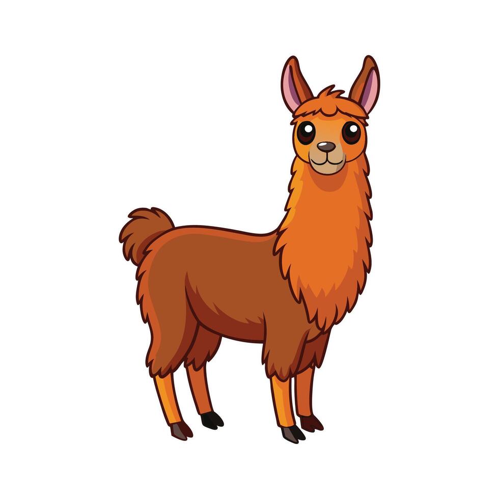 Delightful Llama Realistic Color Illustration on White. Cartoon Art Animal Illustration. vector