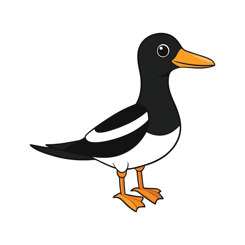 Delightful Magpie Duck Color Illustration with Realistic Features. Cartoon Art Animal Illustration. vector