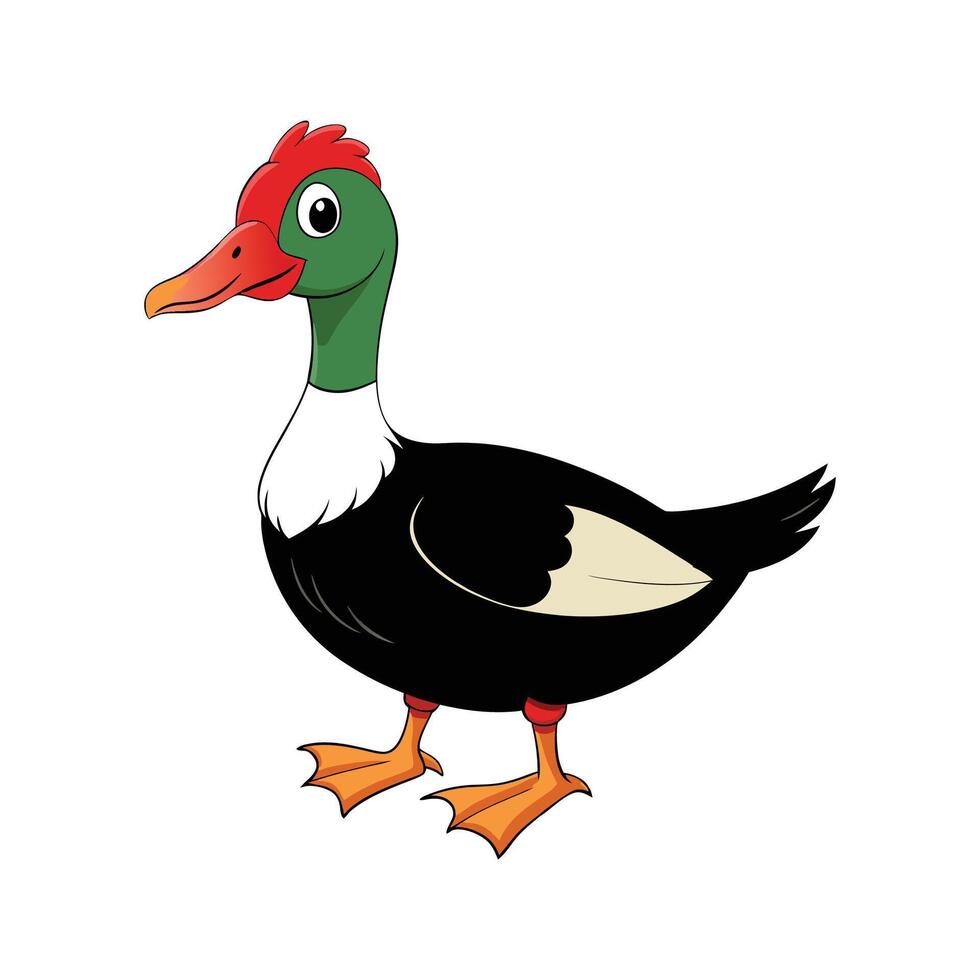 Charming Muscovy Duck Realistic Color Illustration. Cartoon Art Animal Illustration. vector