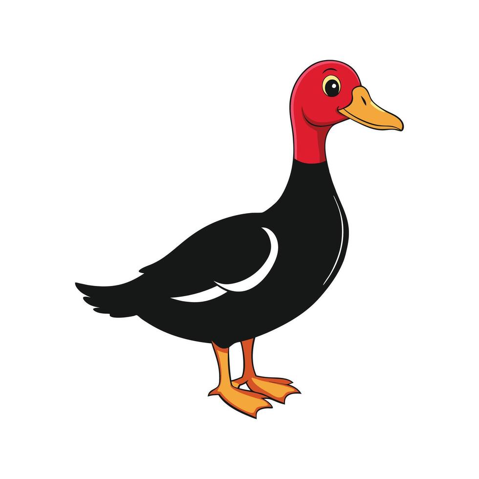 Engaging Muscovy Duck Realistic Color Illustration Art. Cartoon Art Animal Illustration. vector