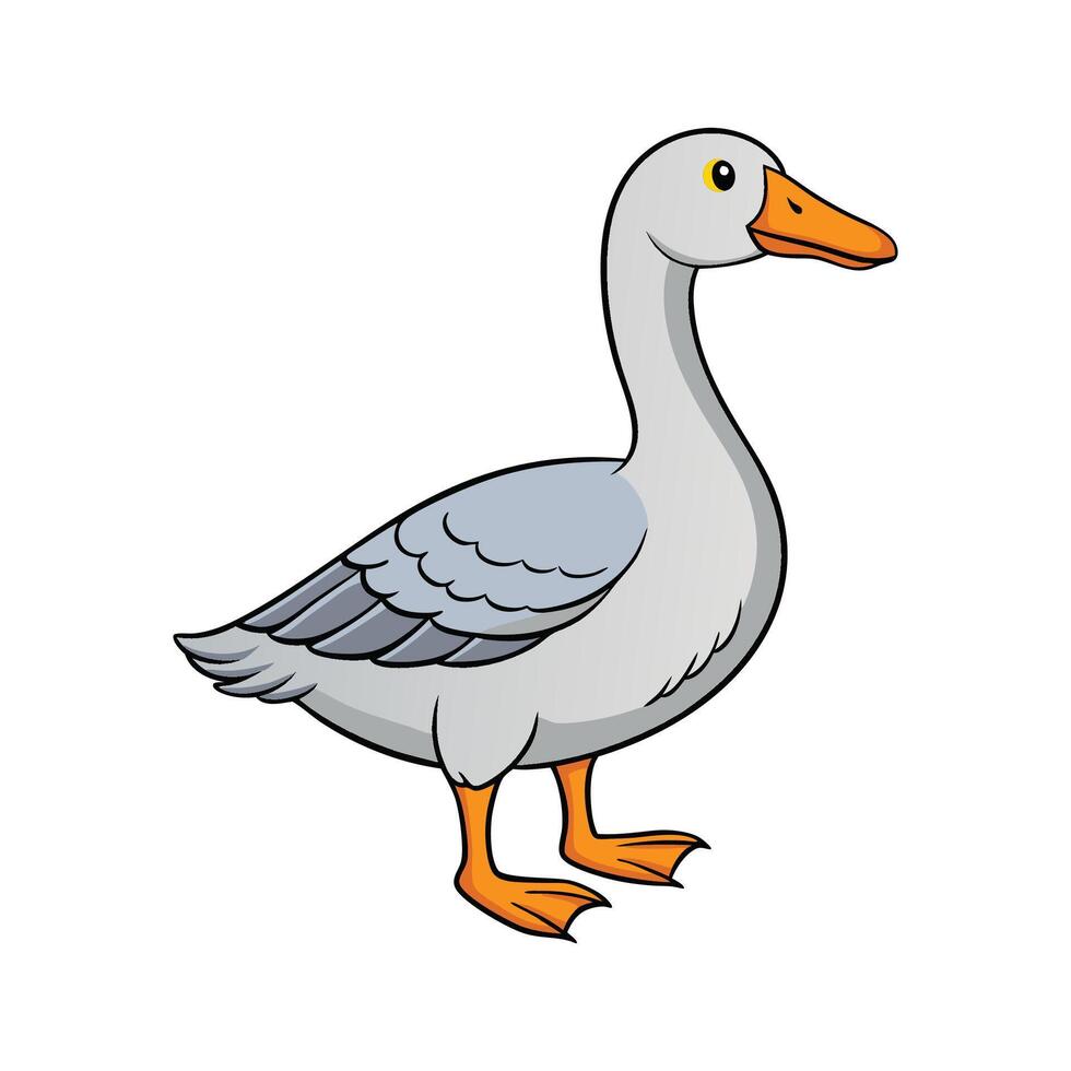 Vivid Sebastopol Goose Realistic Color Illustration. Cartoon Art Animal Illustration. vector