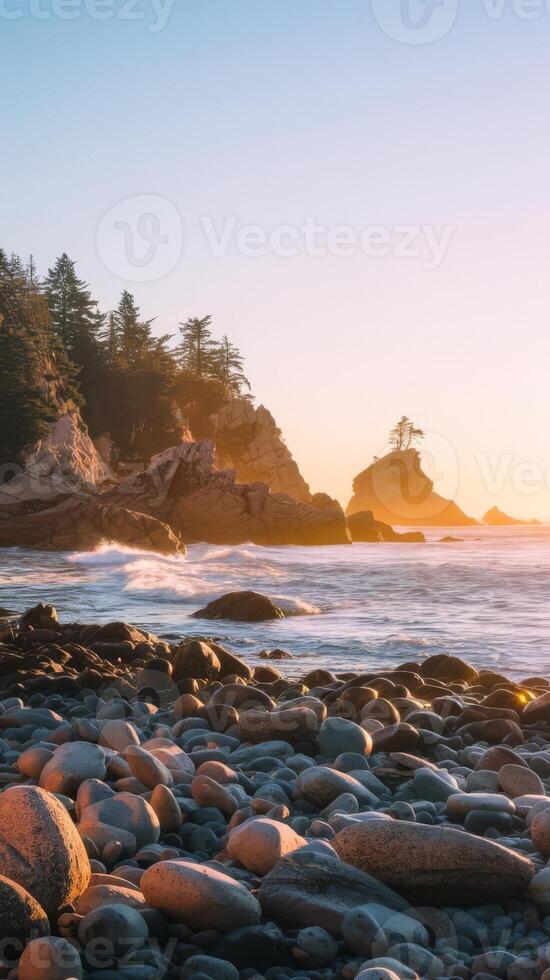 Rocks and trees on the beach at sunset photo