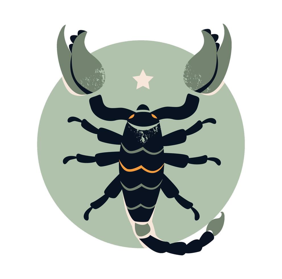 Scorpio zodiac sign, featuring celestial icons, astrology symbols, and cosmic elements. vector