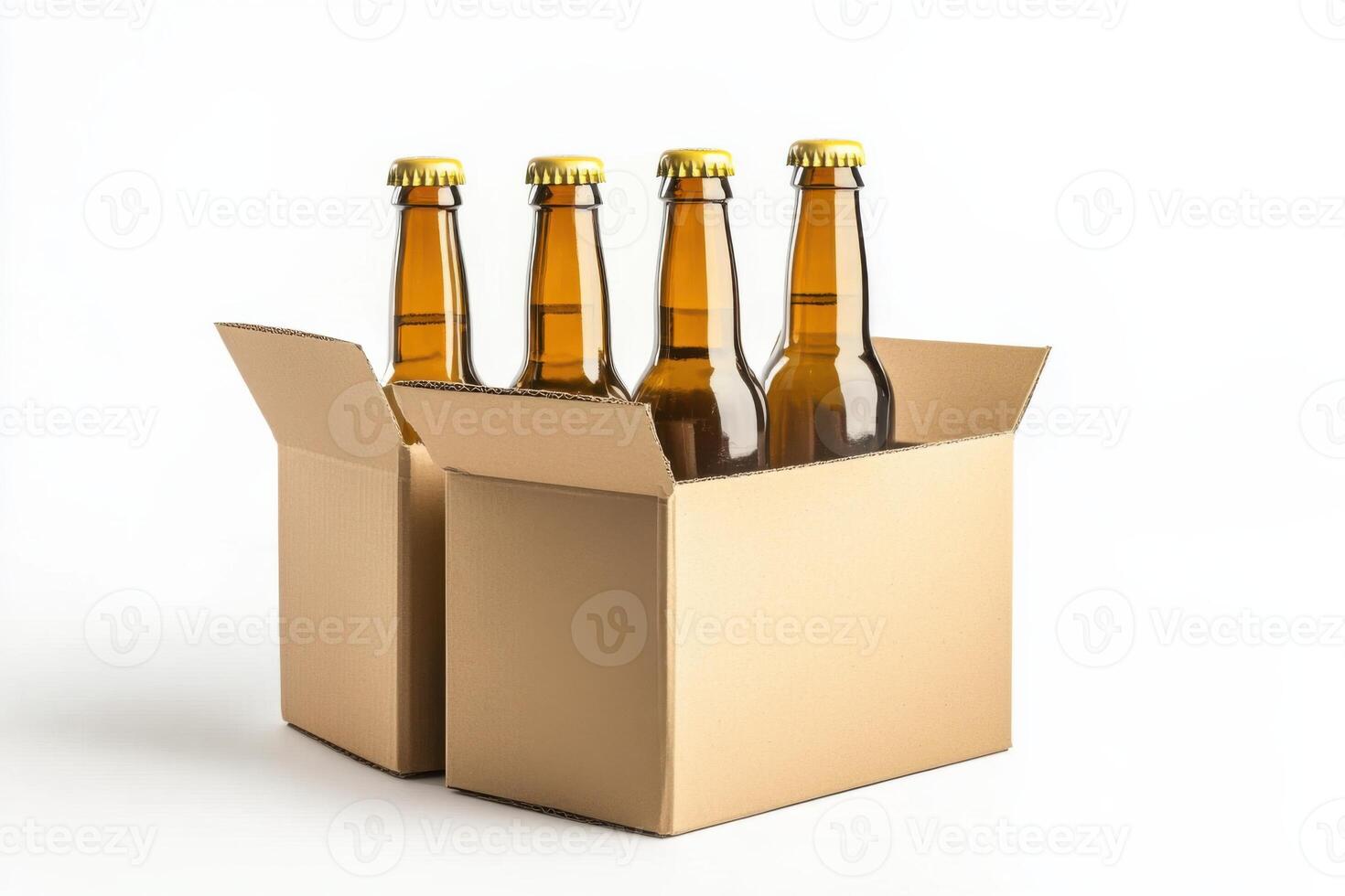 Six beer bottles in cardboard boxes on white background photo