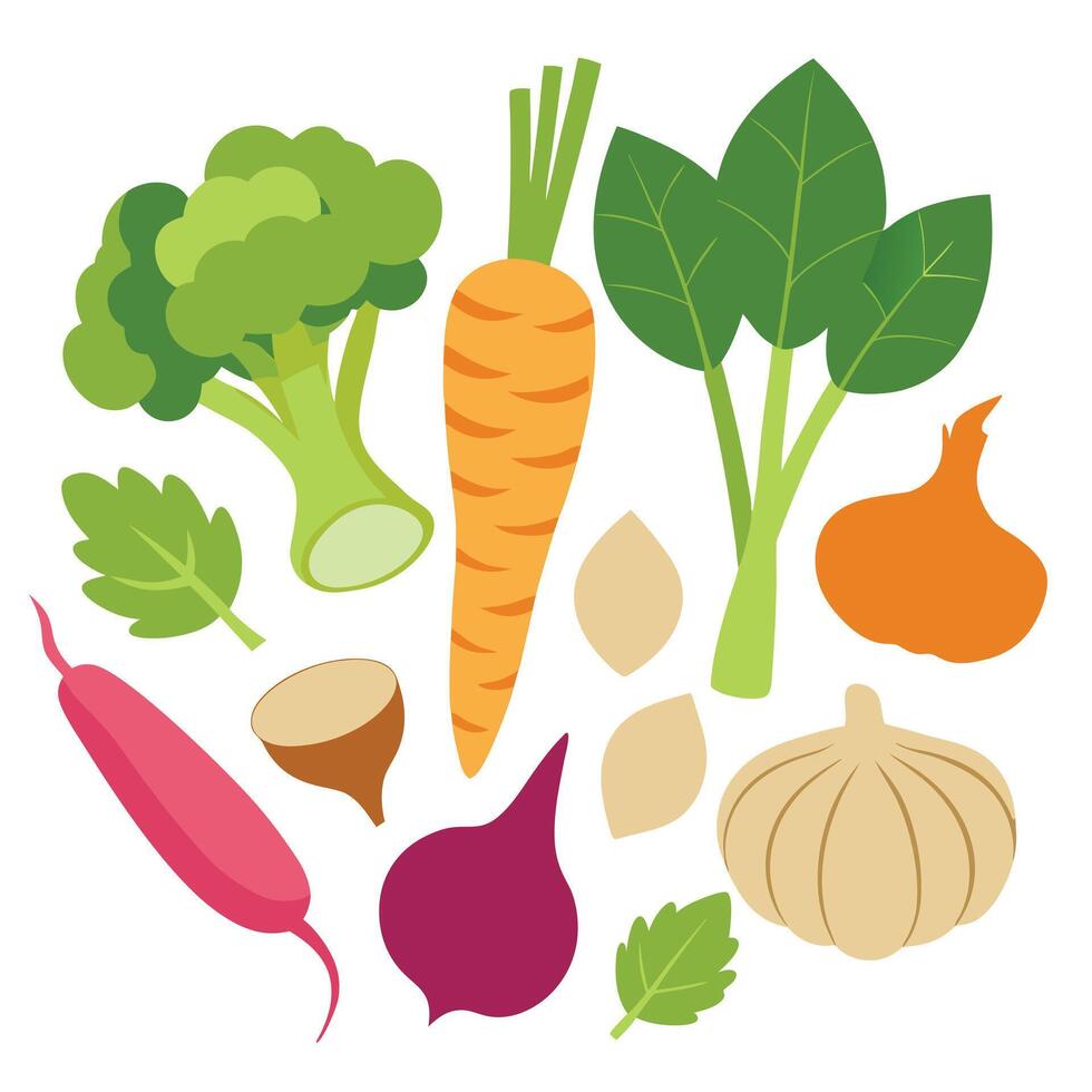 Vegetables and fruits illustration vector