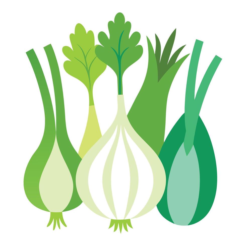 A group of green onions on a white background vector