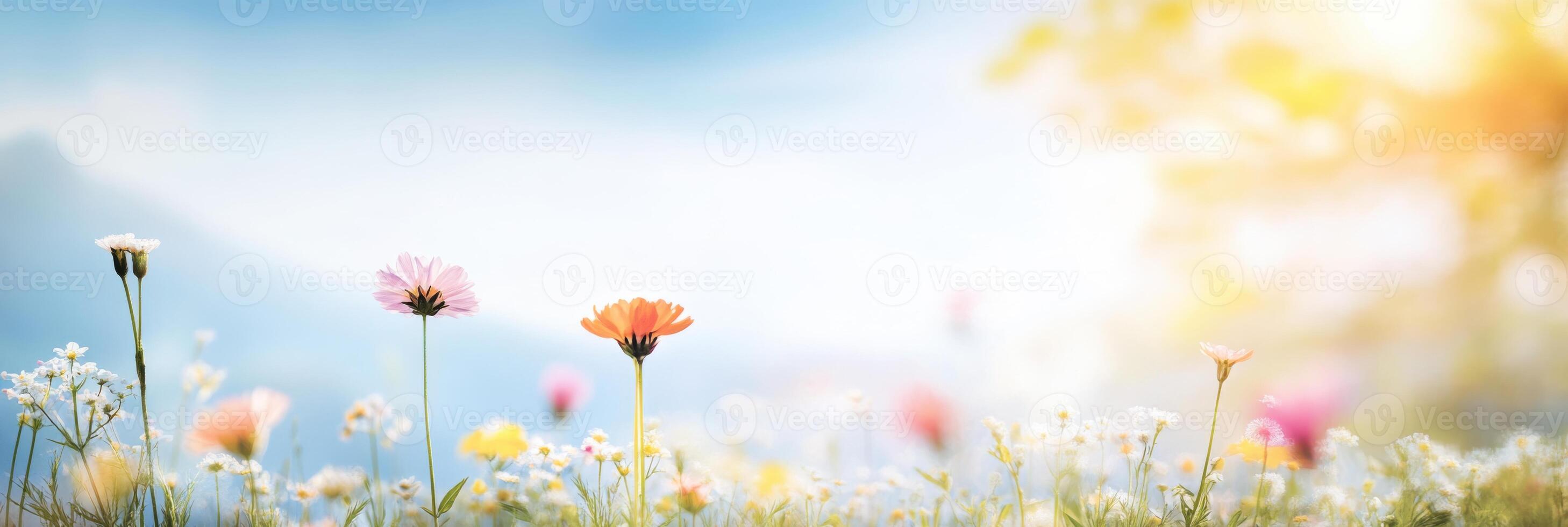 Captivating sunset over a tranquil meadow adorned with vibrant flowers reflecting natures glow photo
