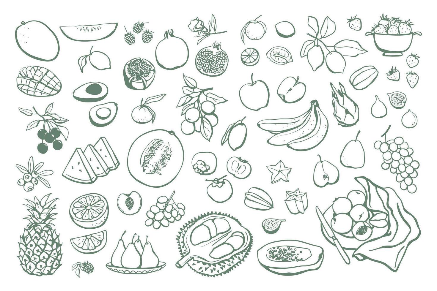 Hand drawn different fruits set. Vegan food collection in sketch style vector