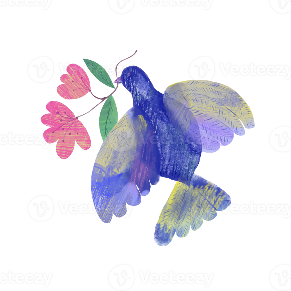 A pigeon flies and holds a flower in its beak. The dove is a symbol of peace. Watercolor illustration using the texture of colored pencils png