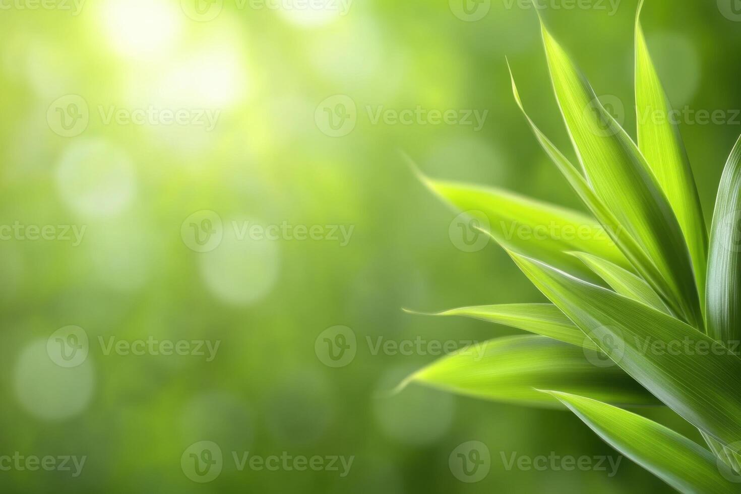 Bamboo texture background showcases natural lines and earthy tones for a serene experience in nature-inspired design photo