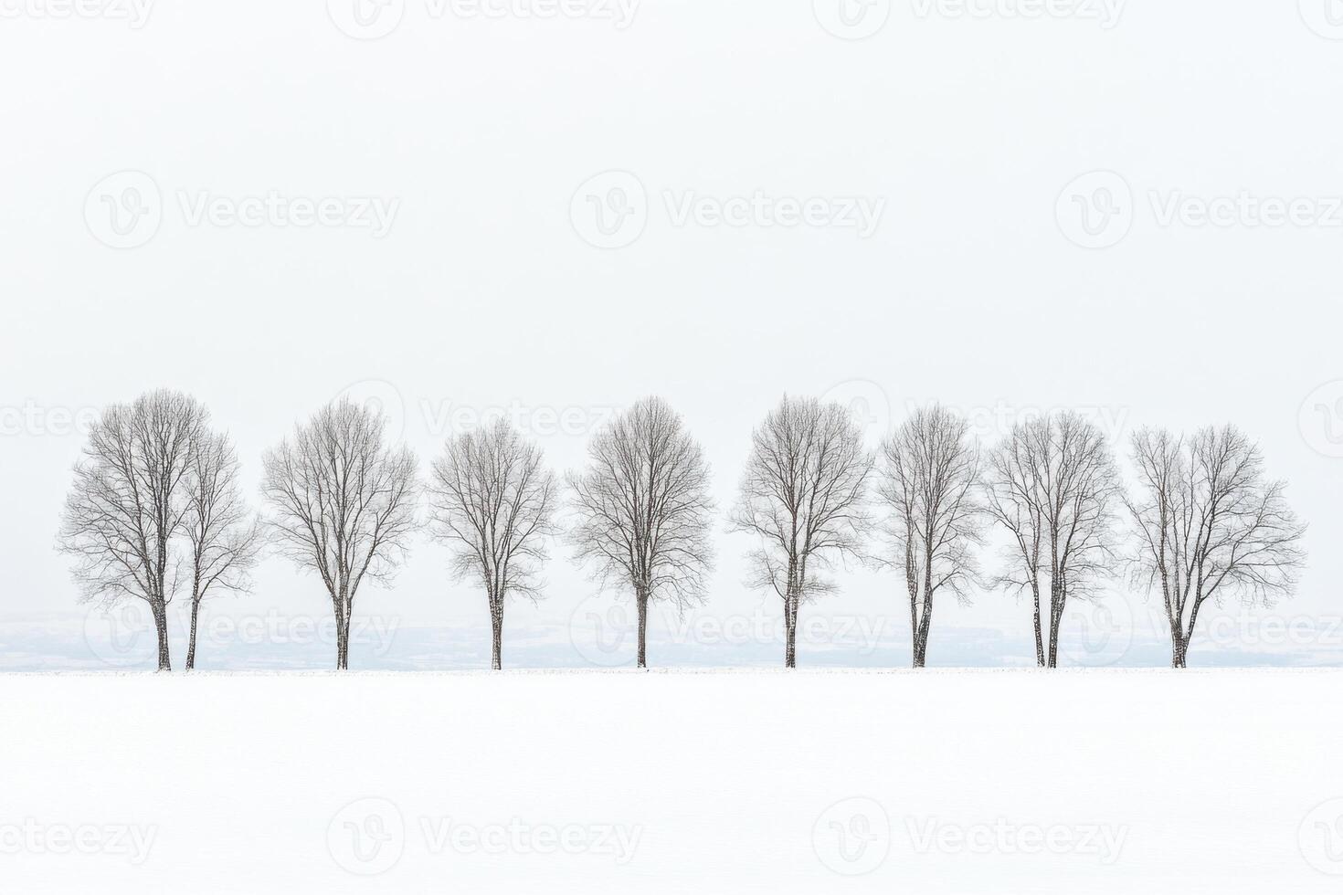 Serenity in winter as snow-covered trees stand tall beneath a tranquil sky photo