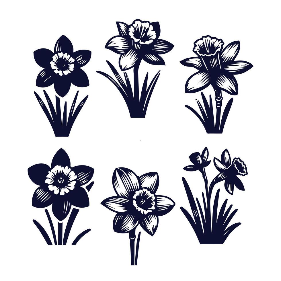 Daffodils in black and white illustration vector