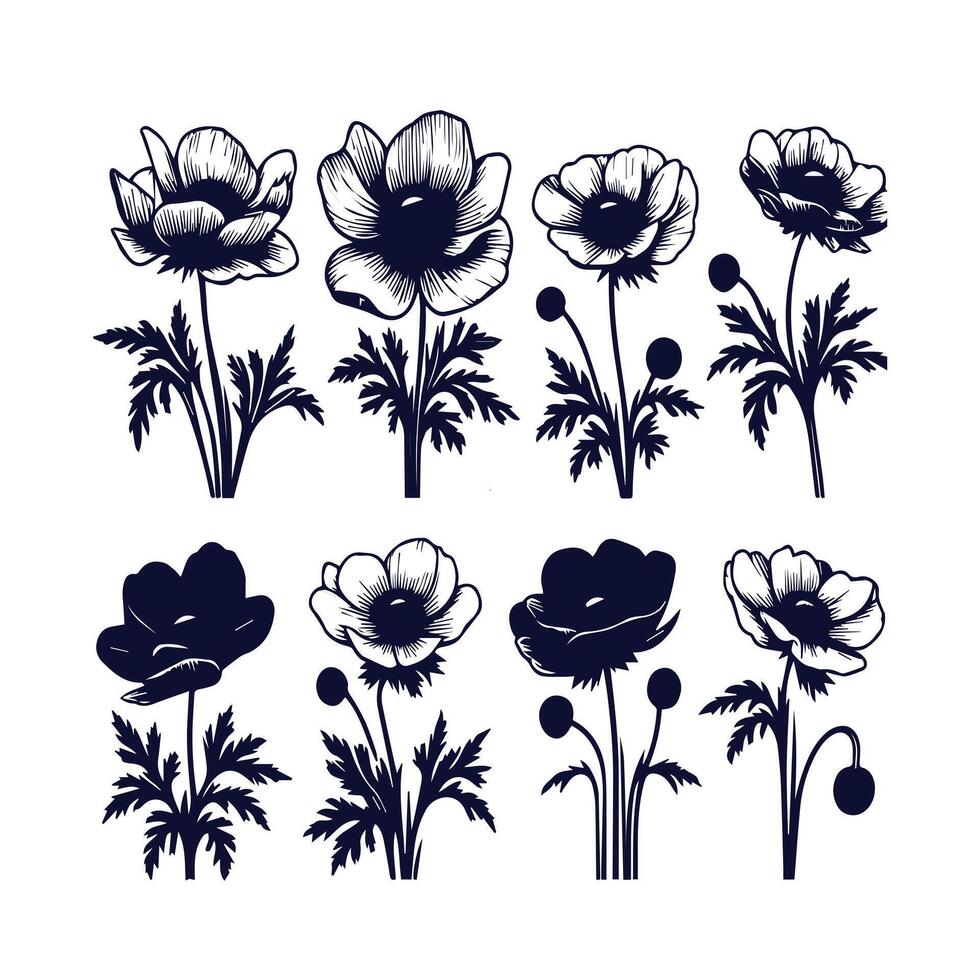 An image of a set of poppies vector