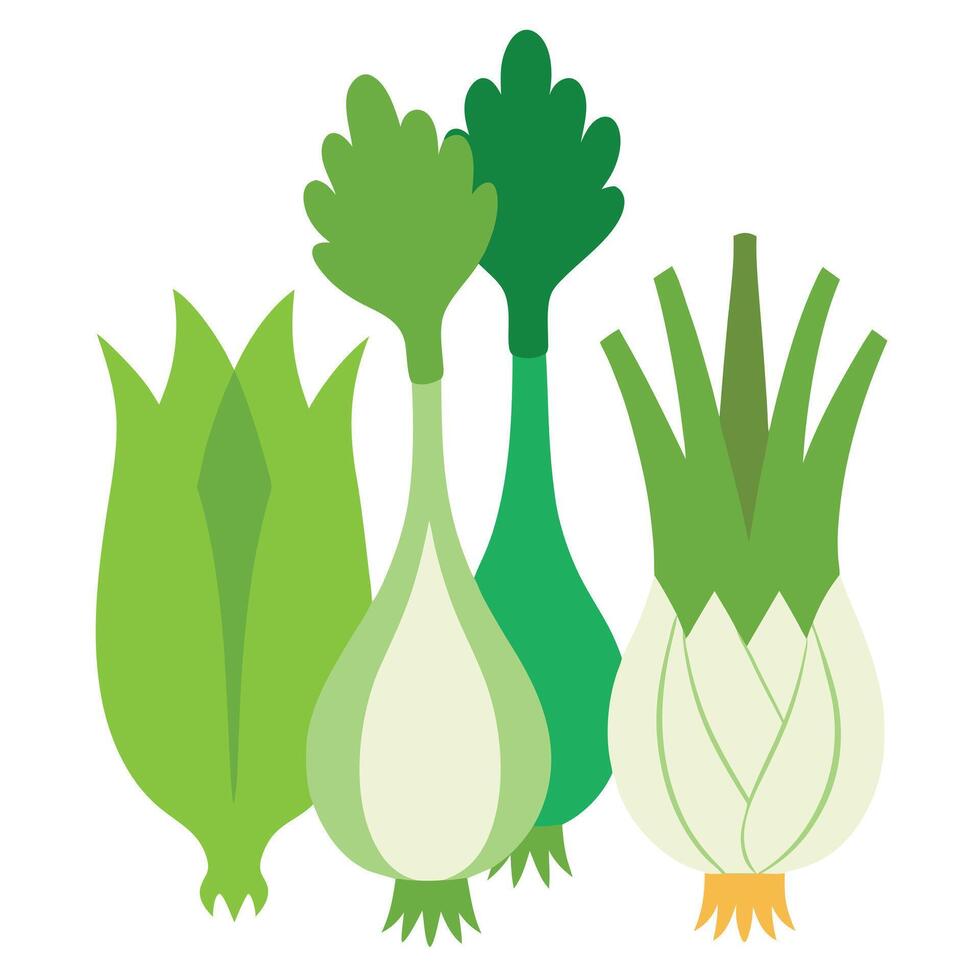 A group of green onions on a white background vector