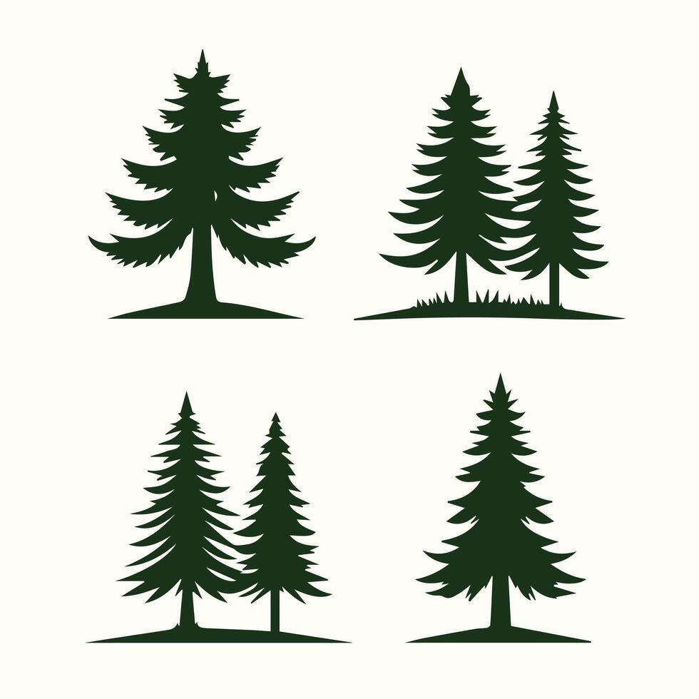 Four different types of pine trees on a white background vector
