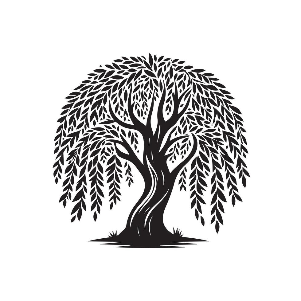 willow tree illustration design on a white background vector