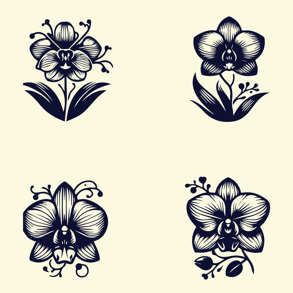 Four different orchid flowers in black and white vector