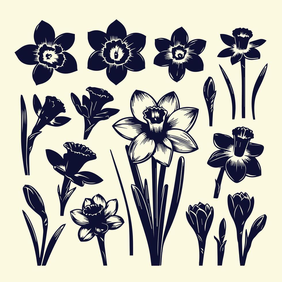 illustration of daffodils vector
