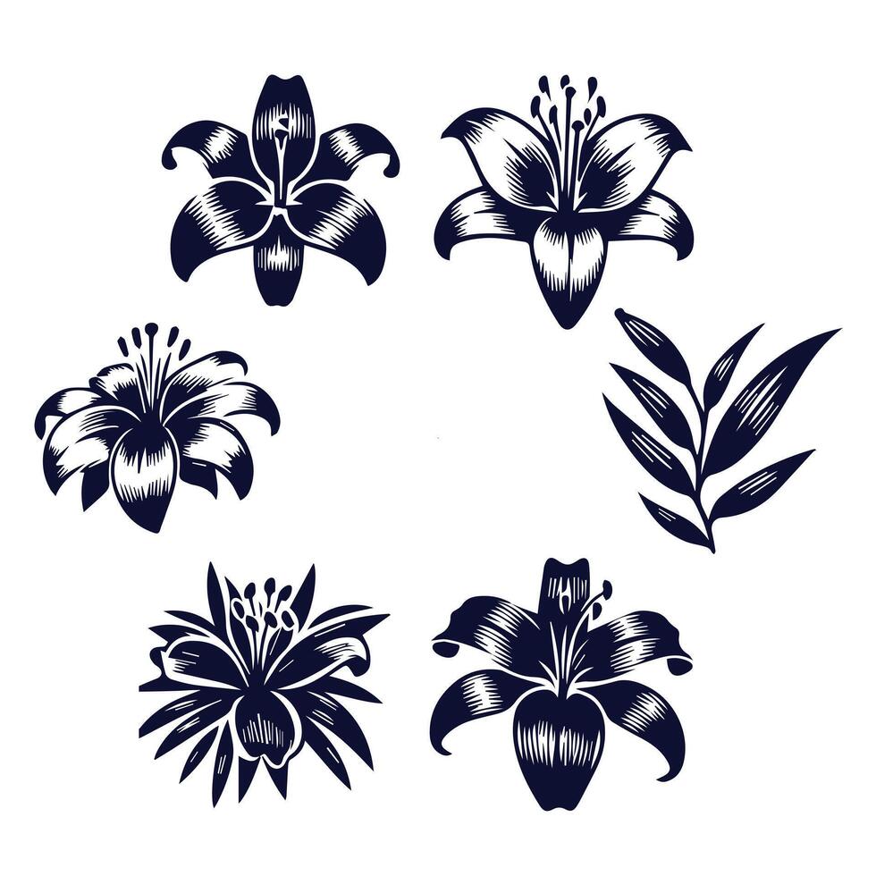 Set of lily flowers vector