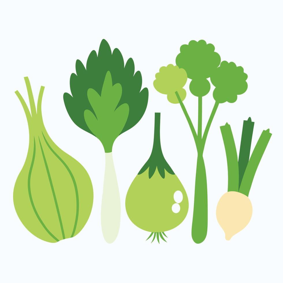 A group of vegetables are shown on a white background vector