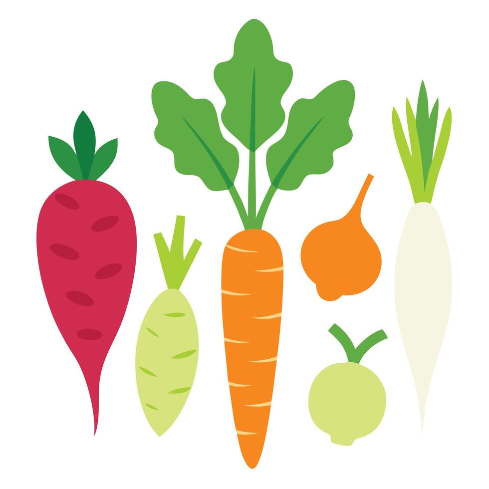 Carrots, onions, and other vegetables are shown vector
