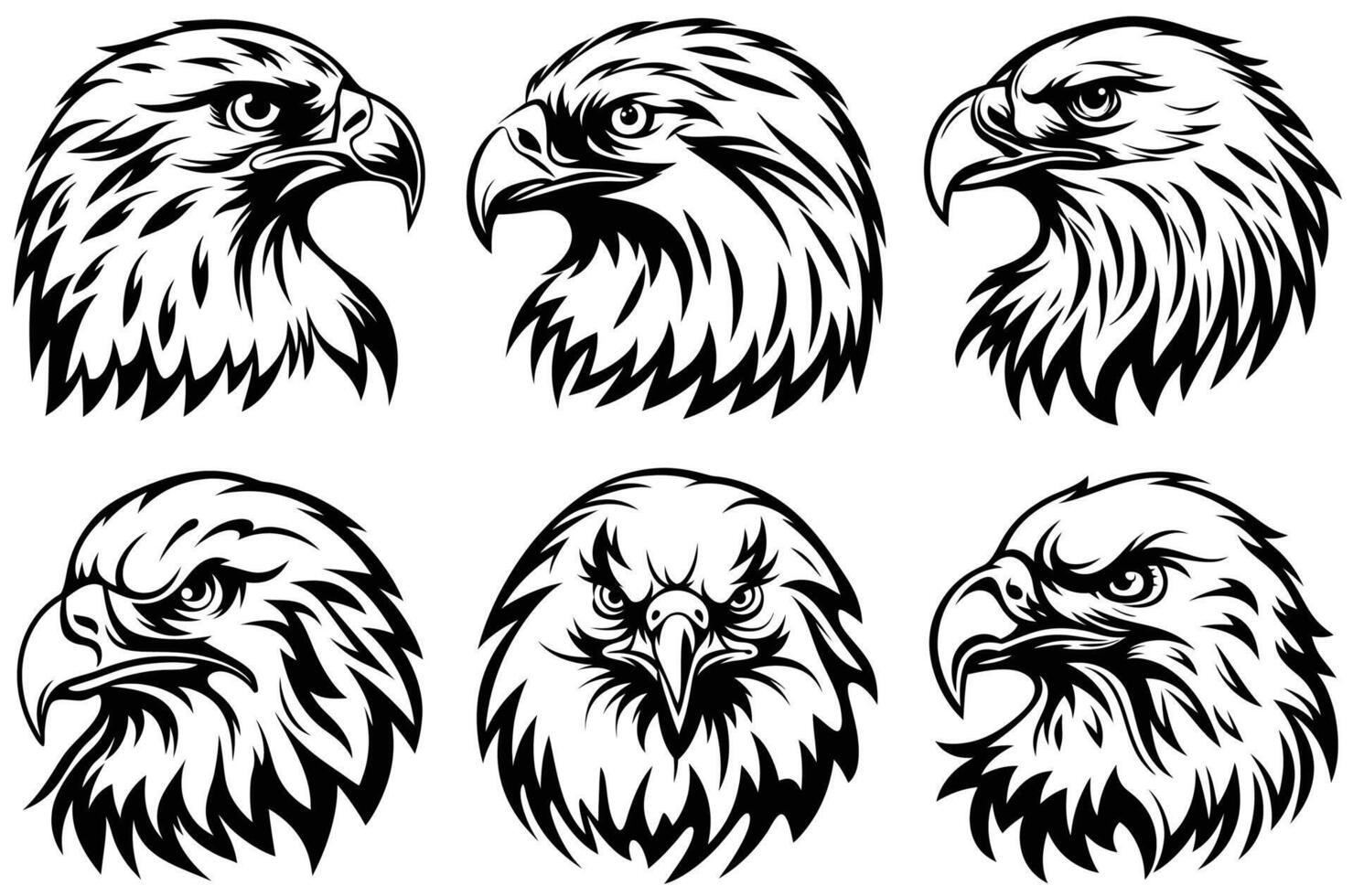Eagle Face Close Up with High Definition Feather Textures and Fierce Look vector