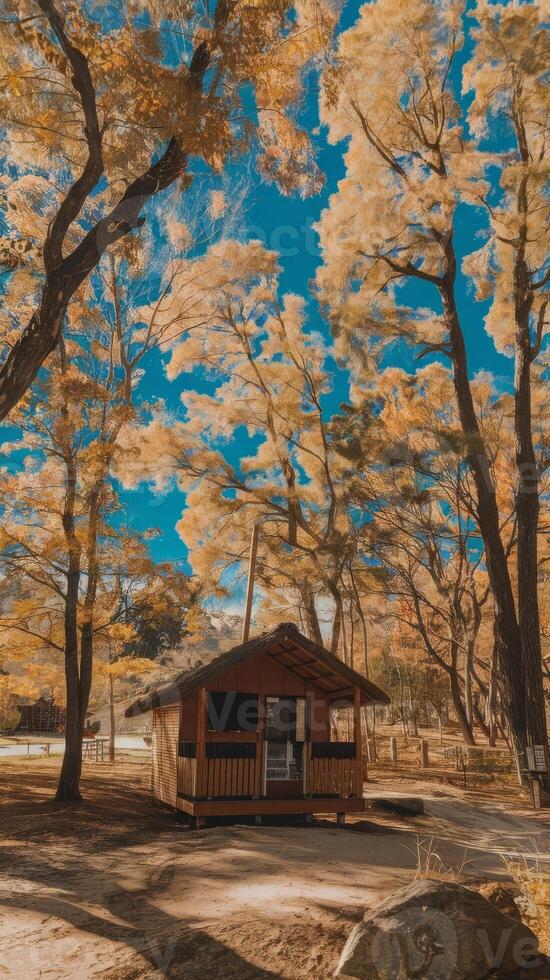 A cabin in the woods with trees and leaves photo