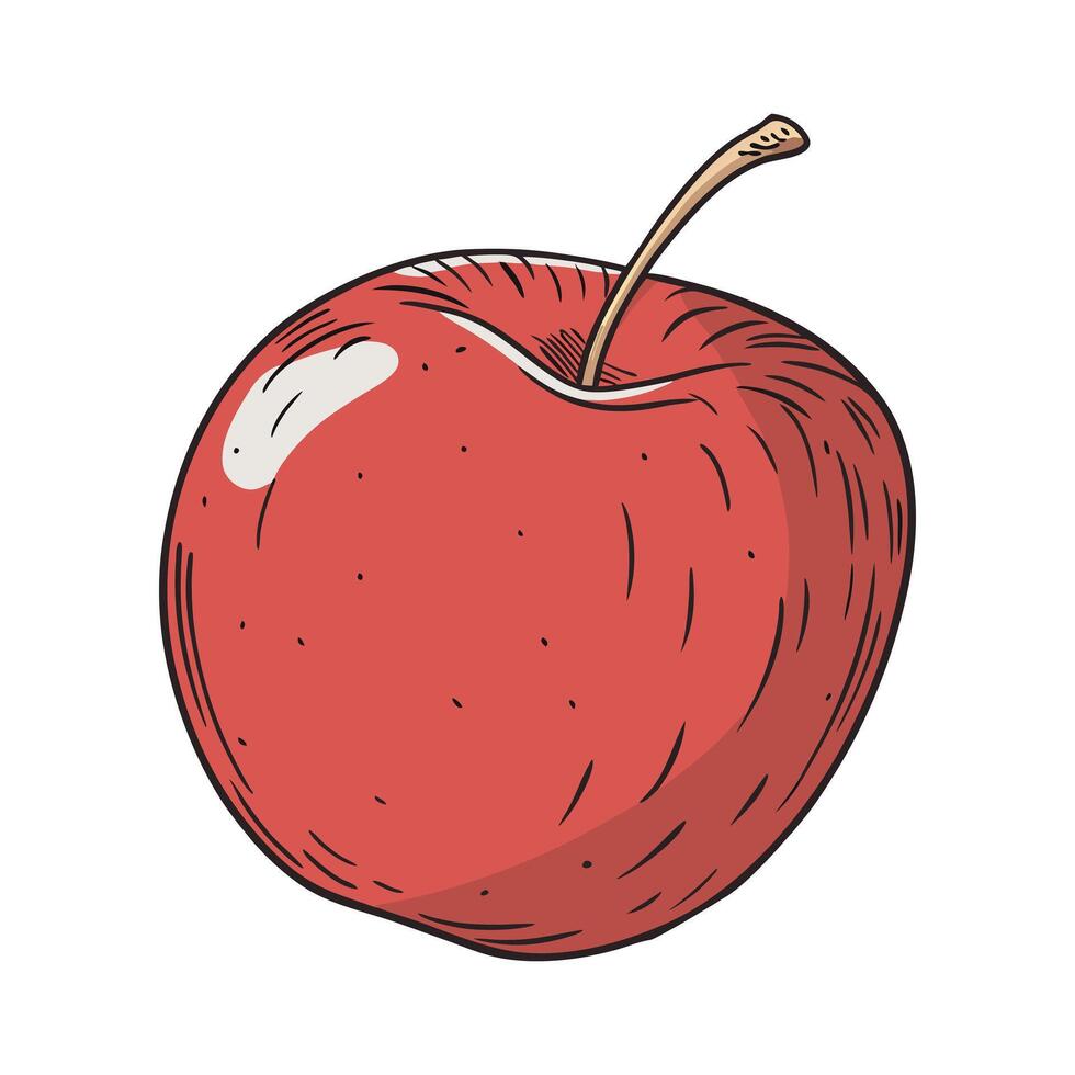 Realistic Red Apple with a Green Leaf on Top vector