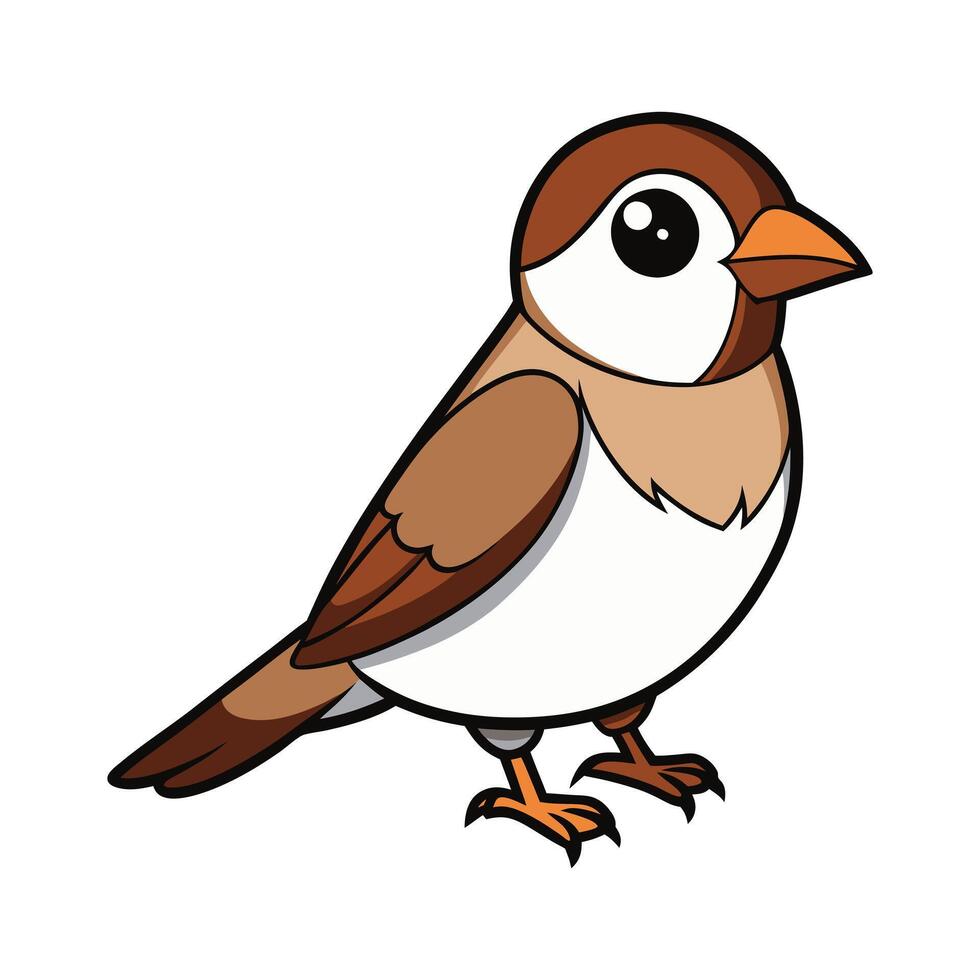 Cute Cartoon Sparrow Bird with Brown and White Feathers illustration vector