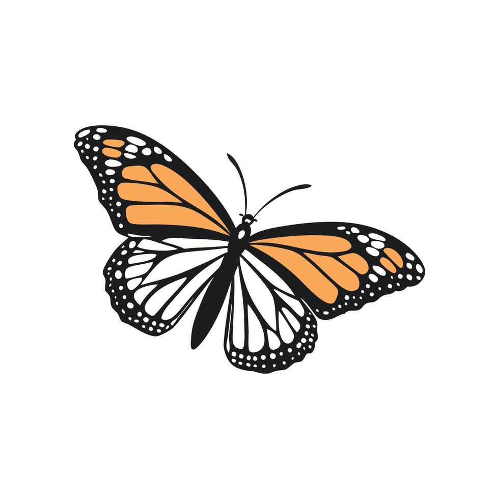 Detailed Monarch Butterfly with Black and Orange Wings in Side View vector