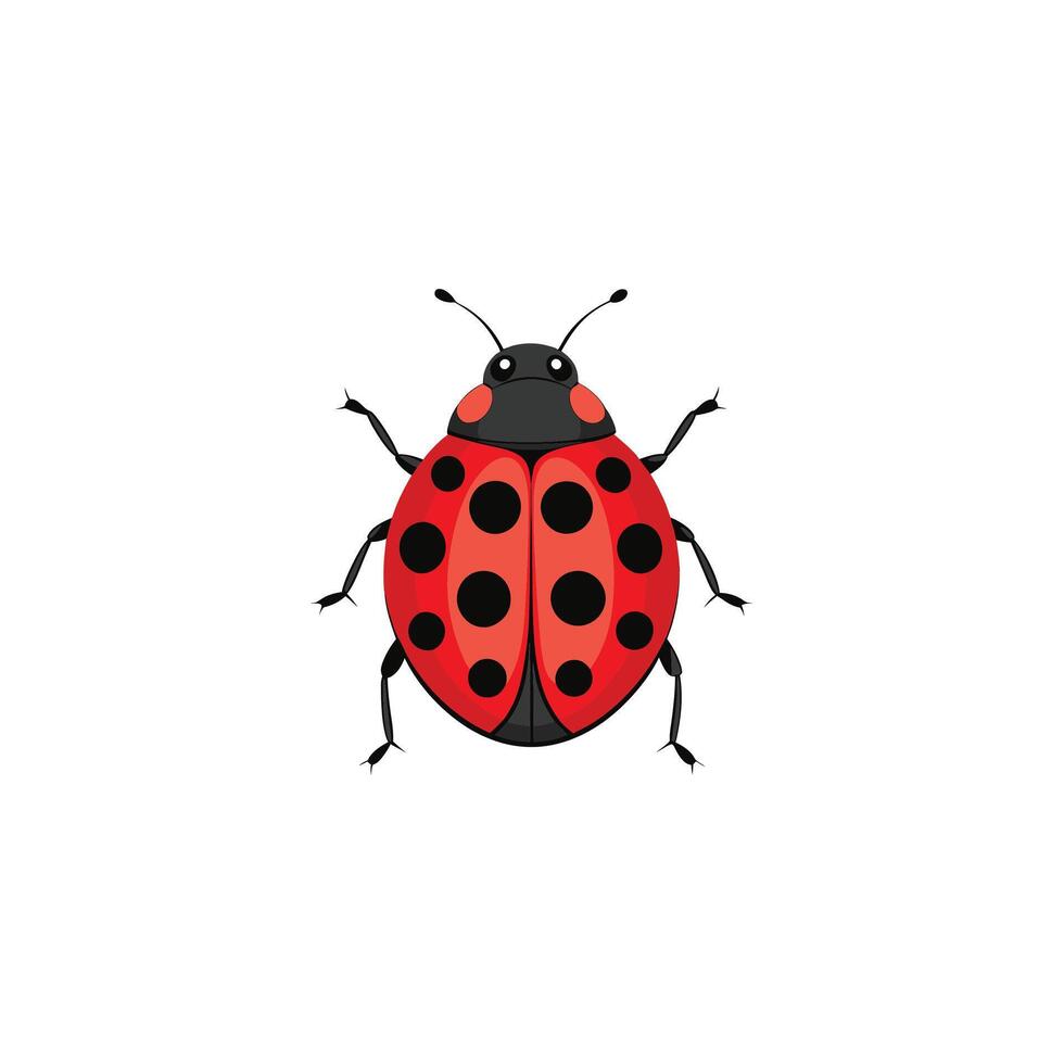 Spotted Beauty Minimalist Ladybug Illustration Design vector