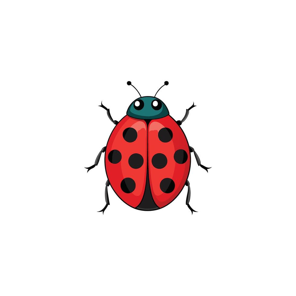 Tiny Wonder Elegant Ladybug Illustration on White Background vector