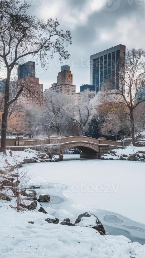 A city skyline in the background with a frozen lake and trees photo