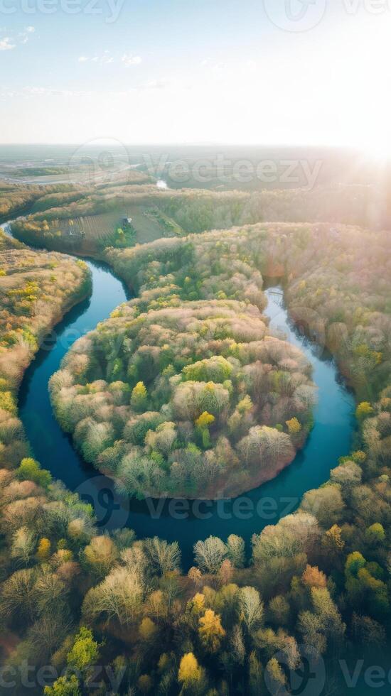 An aerial view of a river surrounded by trees photo
