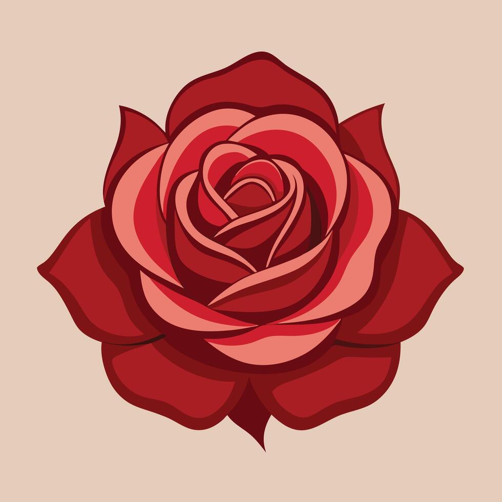 red rose flower illustration vector