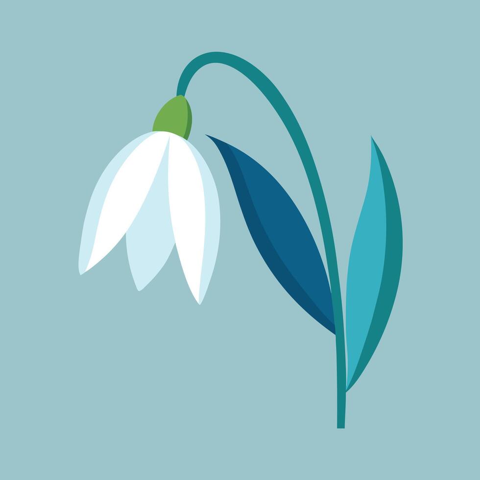 a snowdrop flower on a blue background. vector