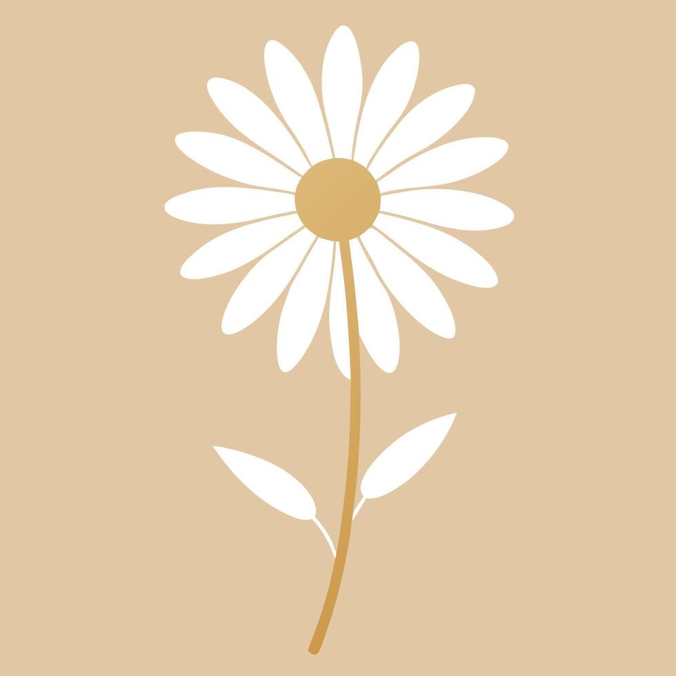a white daisy on a brown background vector